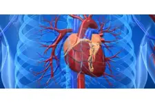 Kalp Yağlanması Belirtileri ve Tedavisi
